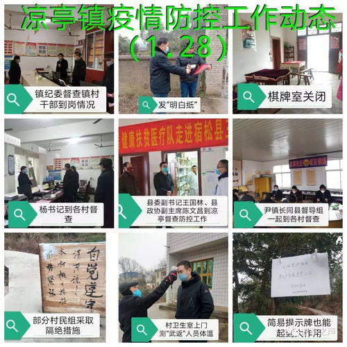 涼亭鎮疫情防控 一張拼圖，一方平安——記涼亭鎮疫情防控工作動態網頁設計
